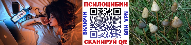 площадка как зайти  Владикавказ  Псилоцибиновые грибы Cubensis  даркнет сайт 