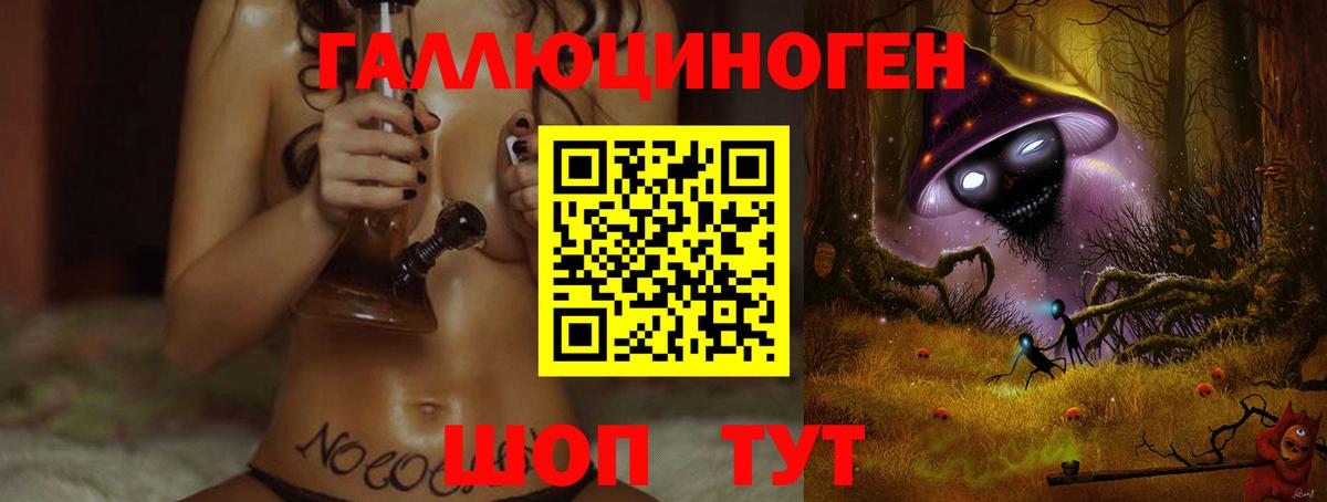 где купить наркоту  Псилоцибиновые грибы мицелий  Вход с VPN  Владикавказ 